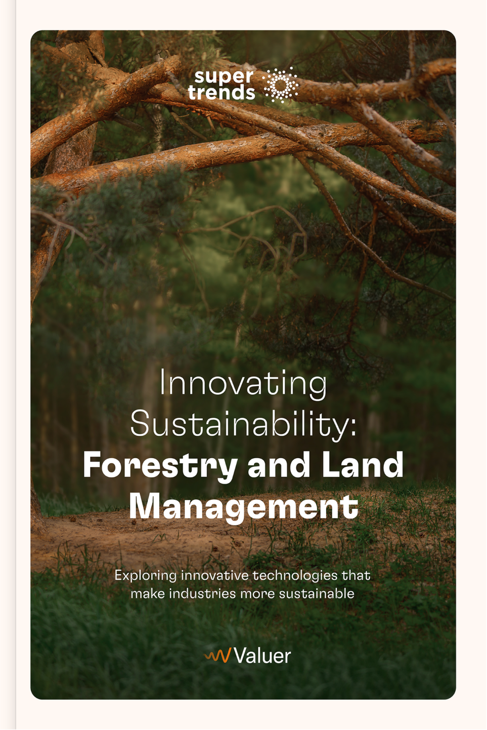Valuer Innovating Sustainability Forestry And Land Management
